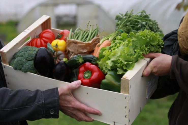 Appel à Manifestation d’Intérêt : Accélérer la transition alimentaire