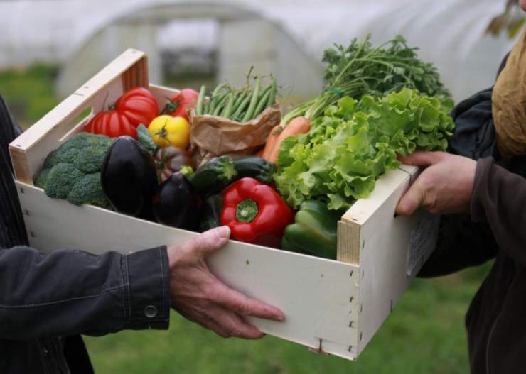 Accélérer la transition alimentaire