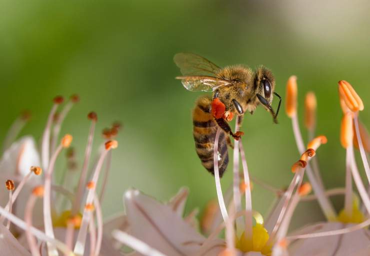 Le GIEC de la santé environnementale