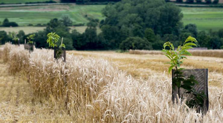 Résilience et capacités agroalimentaires 2030