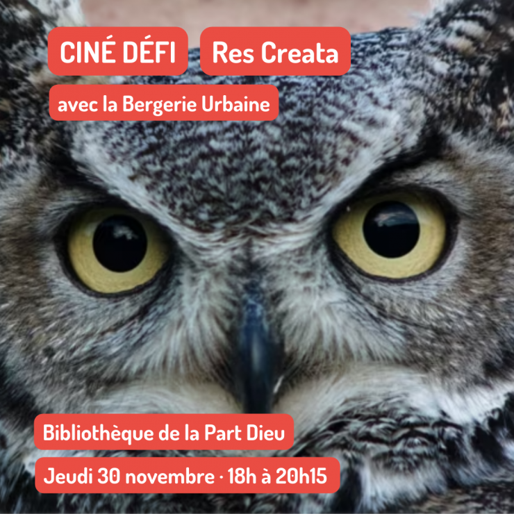 Ciné défi · Res Creata à la Bibliothèque de la Part Dieu