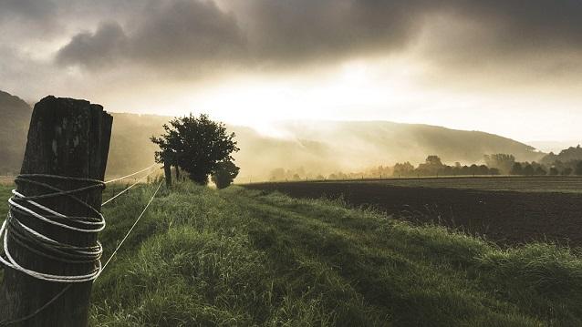 L’Économie Sociale et Solidaire dans les territoires ruraux